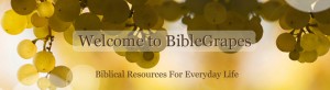 Welcome to BibleGrapes